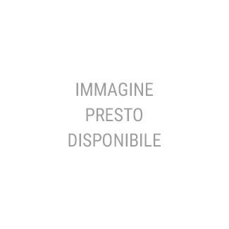 Sedia in ferro zincato Vera